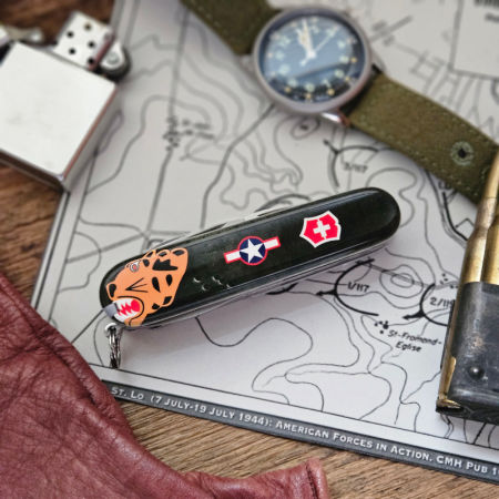 Warhawk P-40 Aleutian Tiger - Saksquatch zdjęcie 4